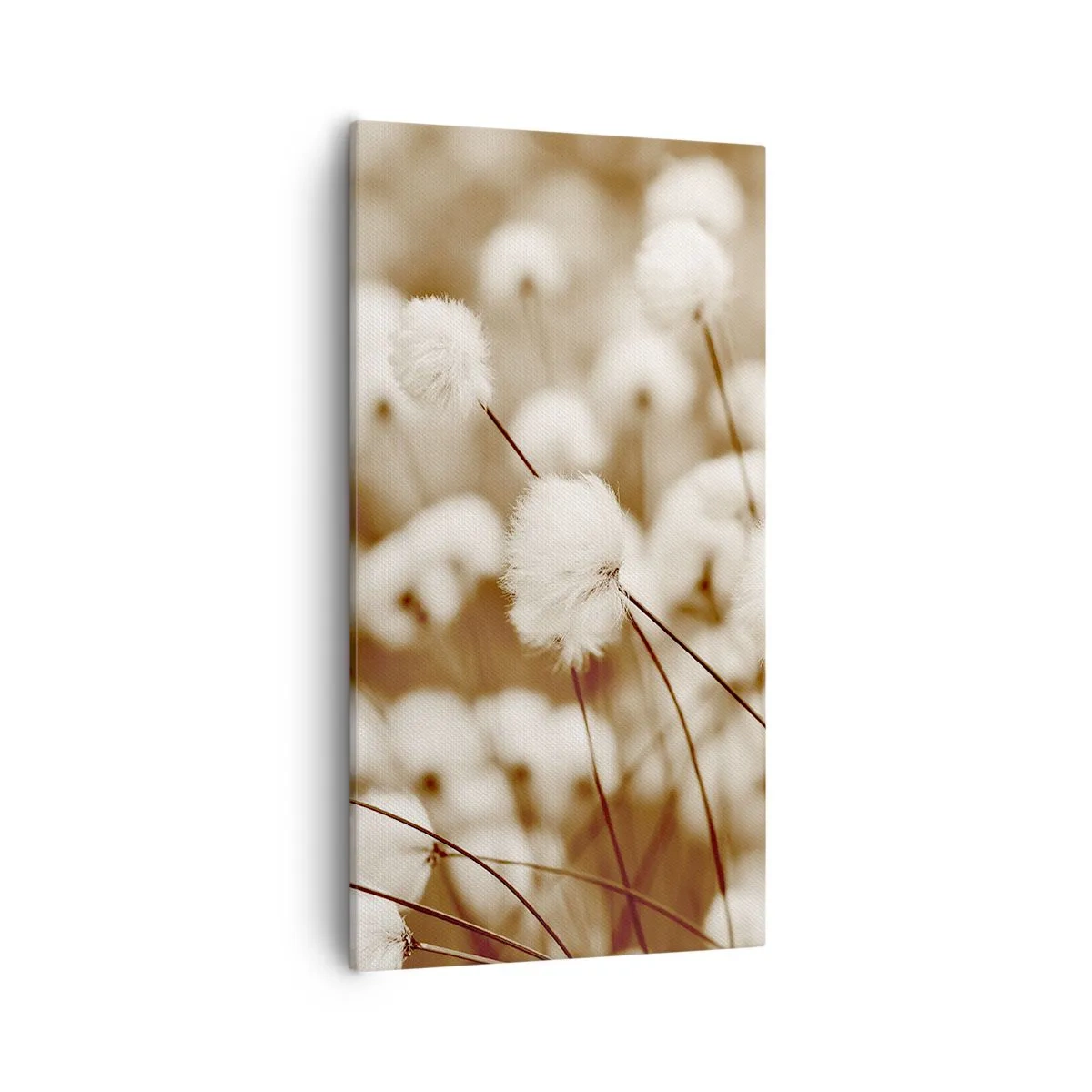 Bild auf Leinwand - Leinwandbild - Flauschiges Kornfeld - 55x100 cm