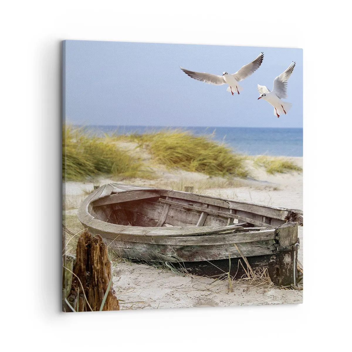 Bild auf Leinwand - Leinwandbild - In Wind gebadet - 50x50 cm