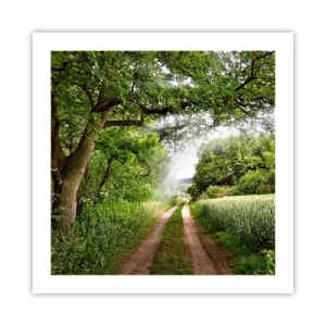 Poster - Et in Arcadia ego - 50x50 cm