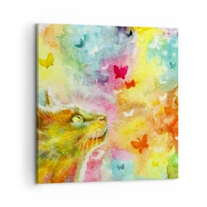 Bild auf Leinwand - Leinwandbild - Baju-baju im Katzenparadies - 60x60 cm