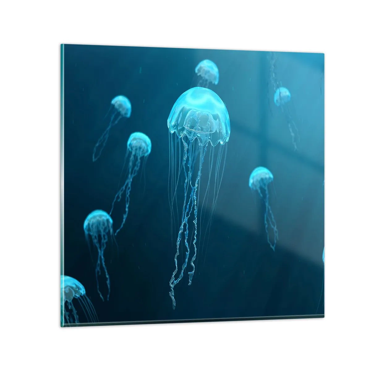 Glasbild - Bild auf glas - Ozeantanz - 30x30 cm
