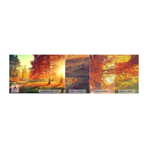 Fototapeten Muster Premium Canvas - Unhöflich ist schön - Landschaft, Park, Natur - 100x30 cm