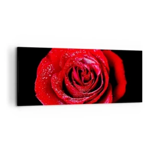 Bild auf Leinwand - Leinwandbild - Eine rote Rose mit Tautropfen auf schwarzem Hintergrund. - 120x50cm - Das ist Liebe - Moderne Wanddekoration für Wohnzimmer und Schlafzimmer ARTTOR