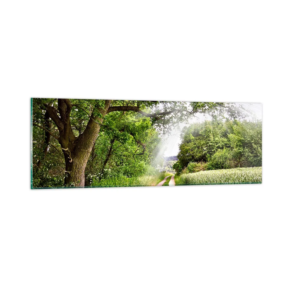 Glasbild - Bild auf glas - Et in Arcadia ego - 90x30 cm