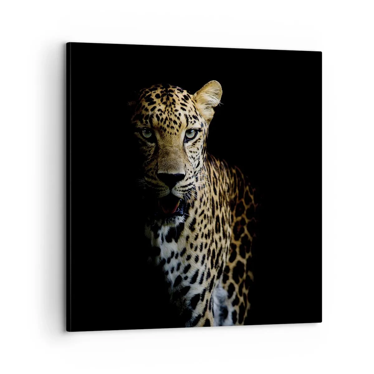 Bild auf Leinwand - Leinwandbild - Dunkle Schönheit - 60x60 cm