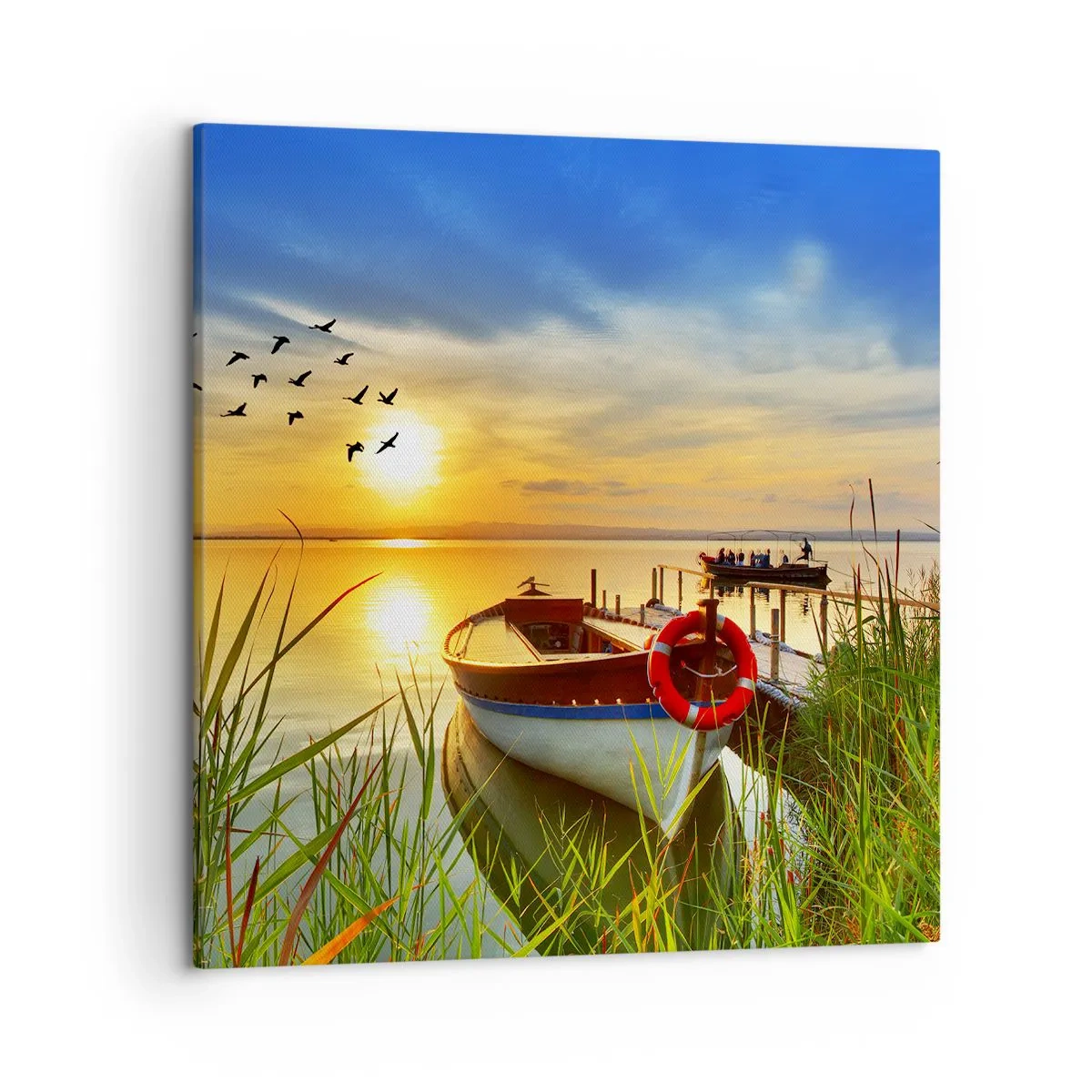 Bild auf Leinwand - Leinwandbild - Die Kormorane fliegen schon weg - 50x50 cm