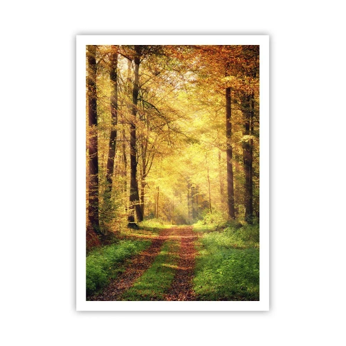 Poster - Waldgoldene Stille - 70x100 cm