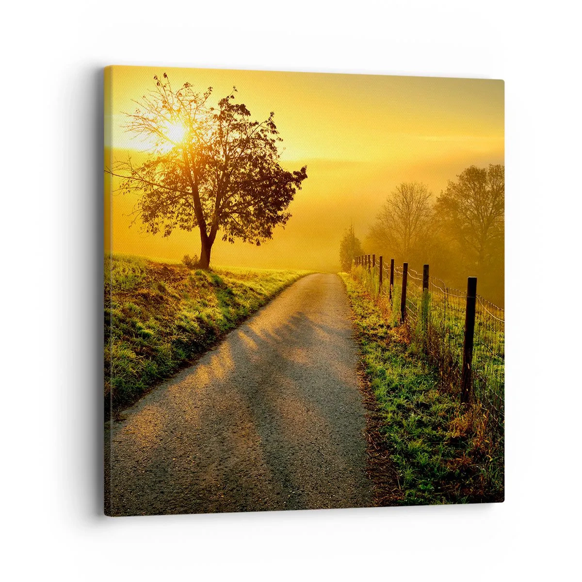 Bild auf Leinwand - Leinwandbild - Honig-Nachmittag - 40x40 cm