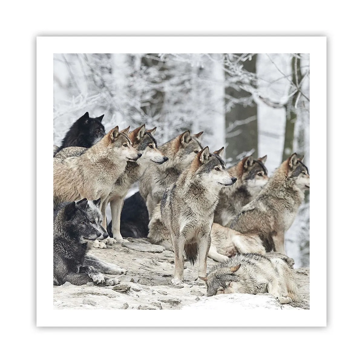 Poster - Familie und Freunde - 60x60 cm
