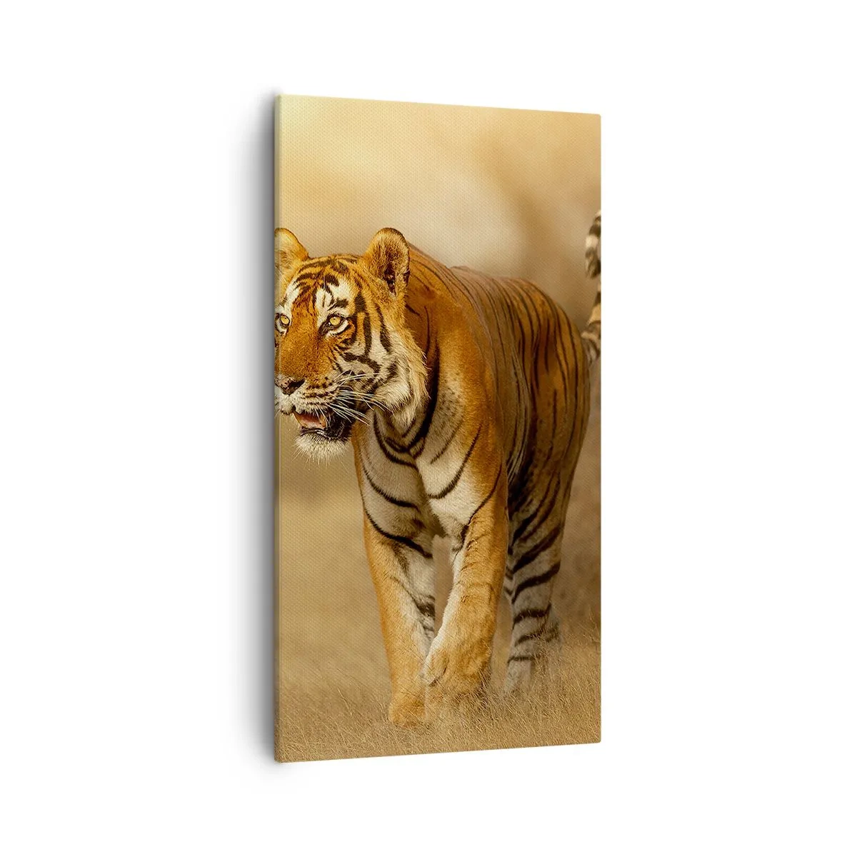 Bild auf Leinwand - Leinwandbild - Vor dem Angriff - 55x100 cm