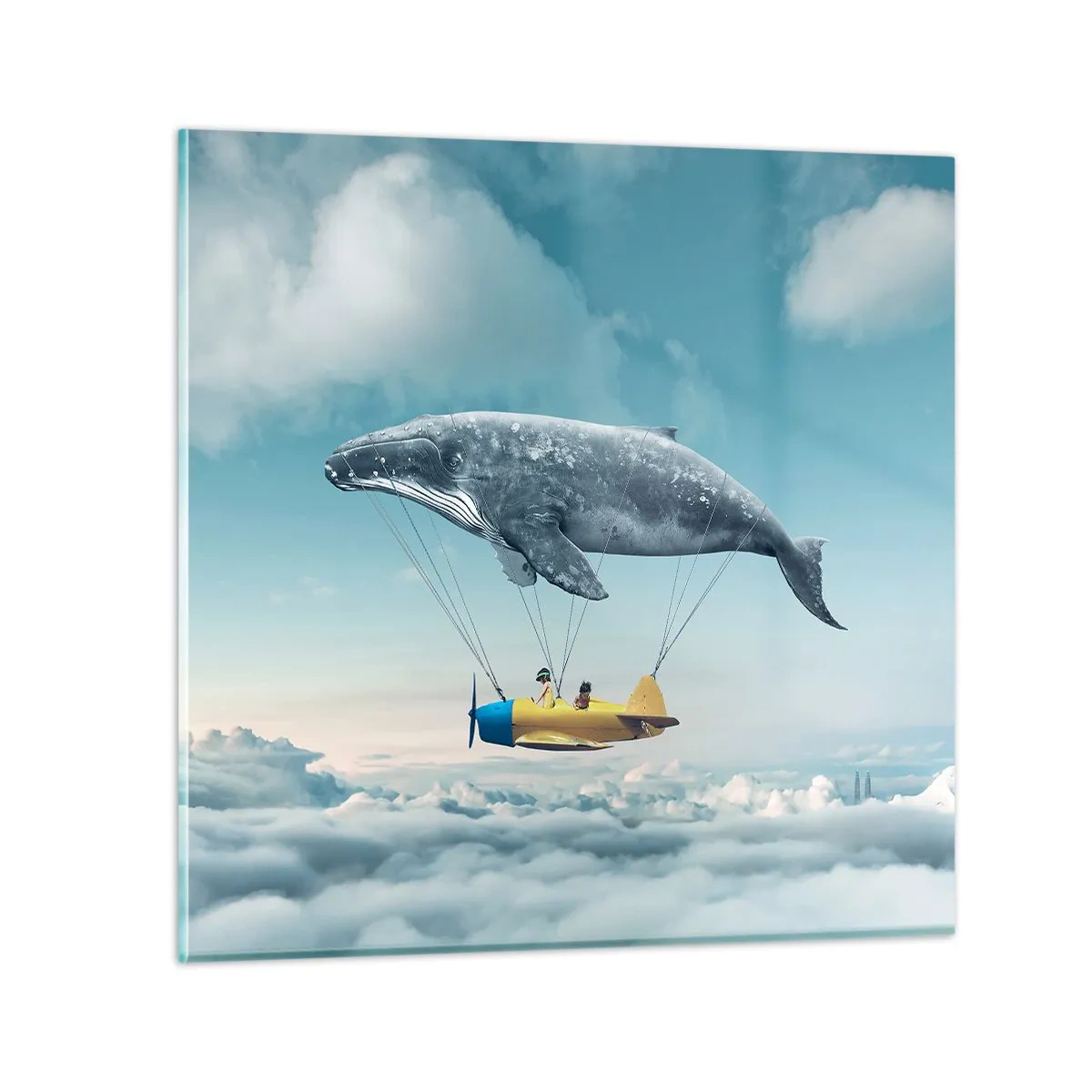 Glasbild - Bild auf glas - Warum nicht? - 60x60 cm