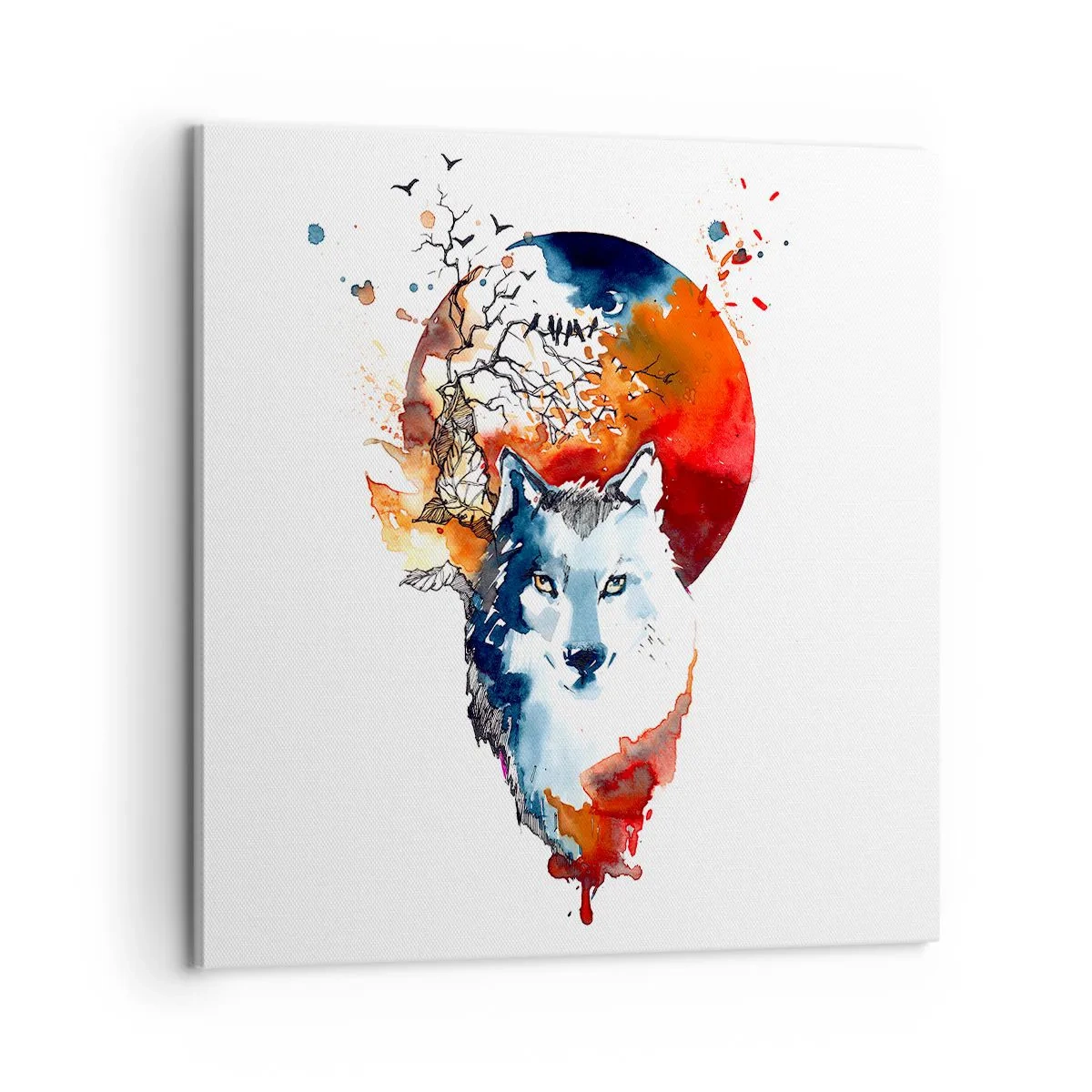 Bild auf Leinwand - Leinwandbild - Nase an Nase mit der Nacht - 60x60 cm