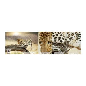 Fototapeten Muster Premium Canvas - Ich gehe meine eigenen Wege - Tiere, Leopard, Afrika - 100x30 cm