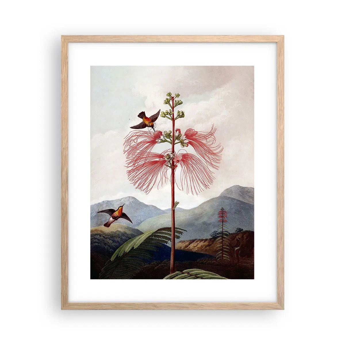 Poster in einem Rahmen aus heller Eiche - In einem tropischen Paradies - 40x50 cm