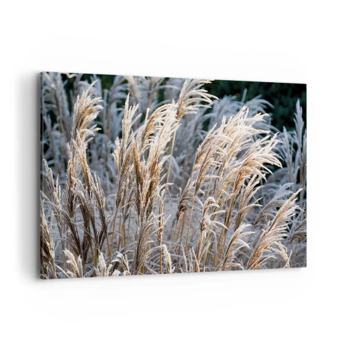 Bild auf Leinwand - Leinwandbild - Winterliche Grashalme mit Frost bedeckt vor einem dunkelgrünen Hintergrund - 100x70cm - Gekleidet mit Frost - Moderne Wanddekoration für Wohnzimmer und Schlafzimmer ARTTOR