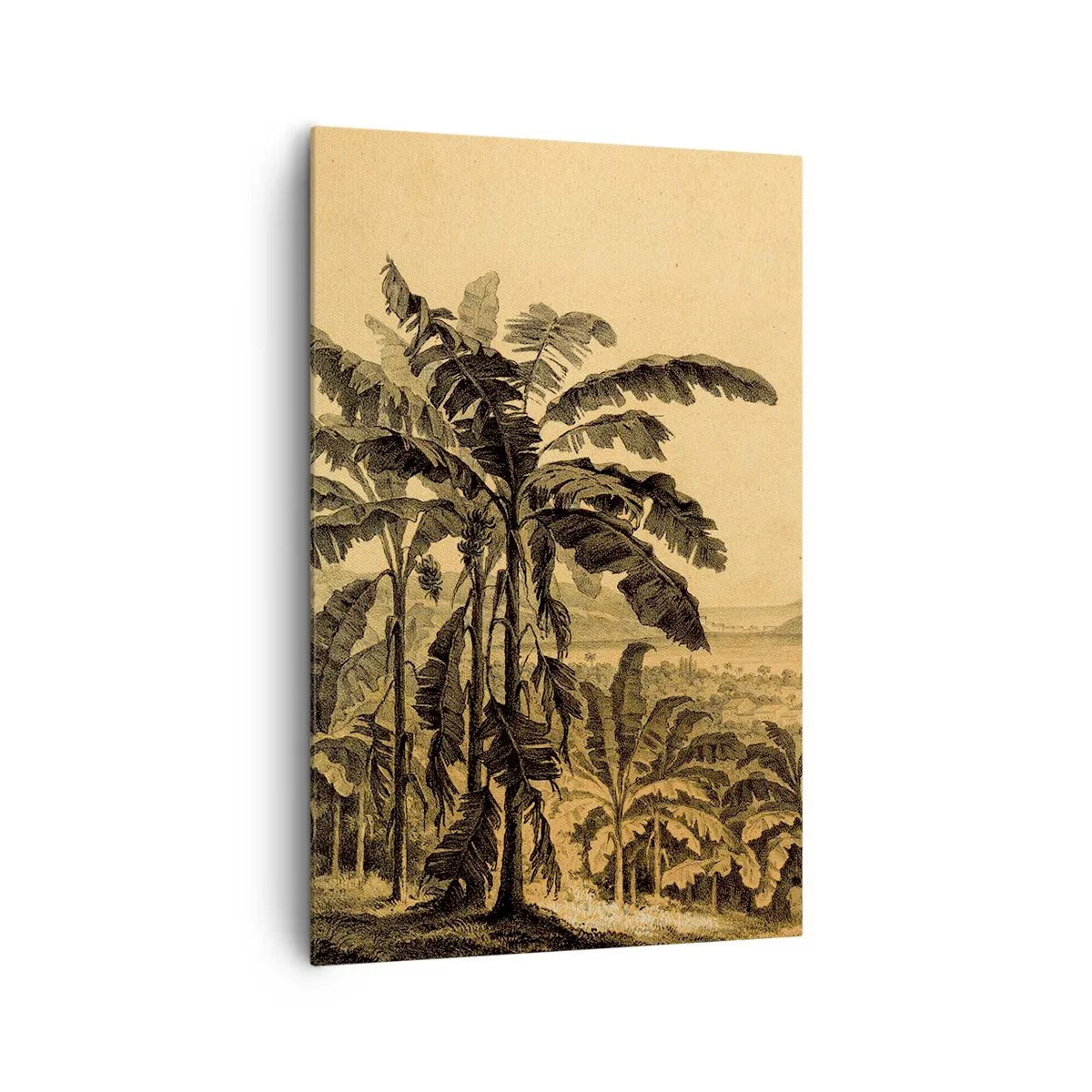 Bild auf Leinwand - Leinwandbild - Zeichnung von Bananenbäumen vor dem Hintergrund einer tropischen Landschaft - 80x120cm - in einem kolonialen Klima - Moderne Wanddekoration für Wohnzimmer und Schlafzimmer ARTTOR
