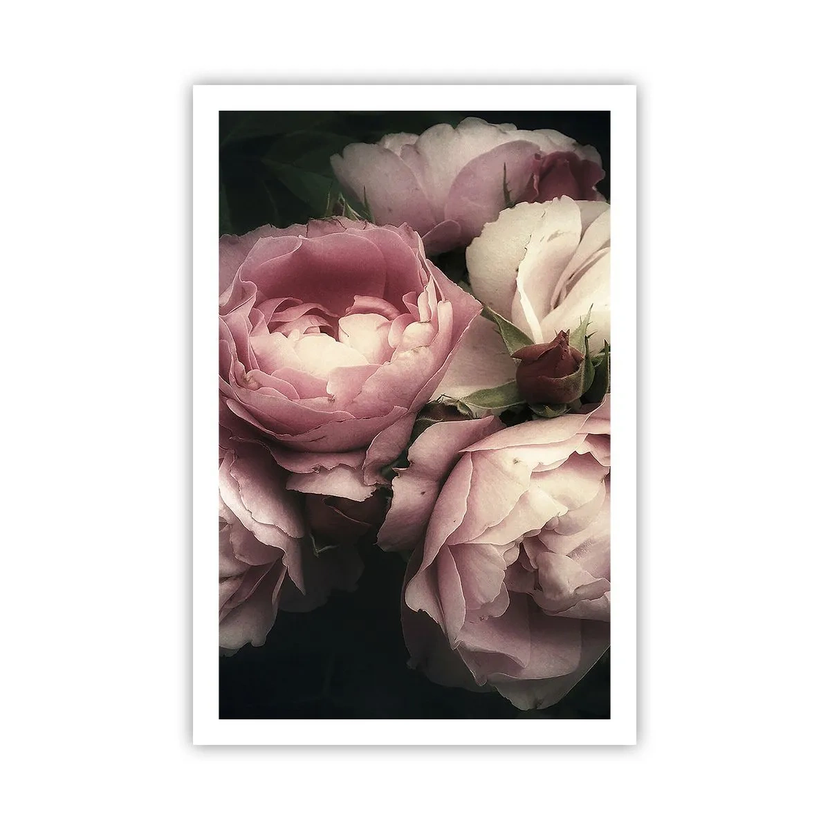 Poster - Der Charme der Belle Epoque - 61x91 cm