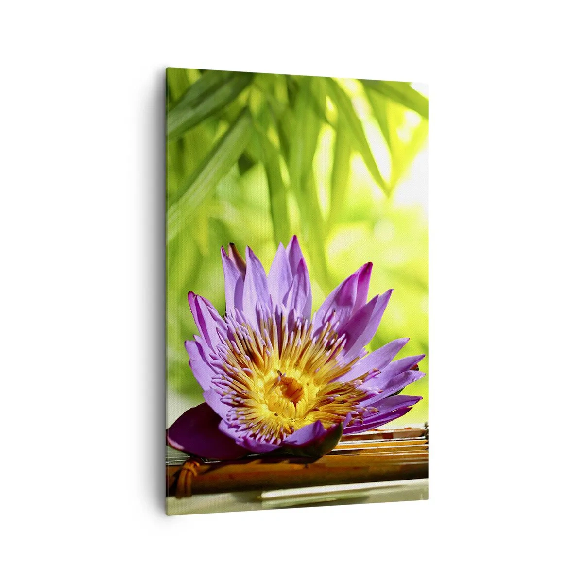 Bild auf Leinwand - Leinwandbild - Lila Lotusblüte vor einem Hintergrund aus grünen Bambusblättern - 80x120cm - In der asiatischen Sonne - Moderne Wanddekoration für Wohnzimmer und Schlafzimmer ARTTOR