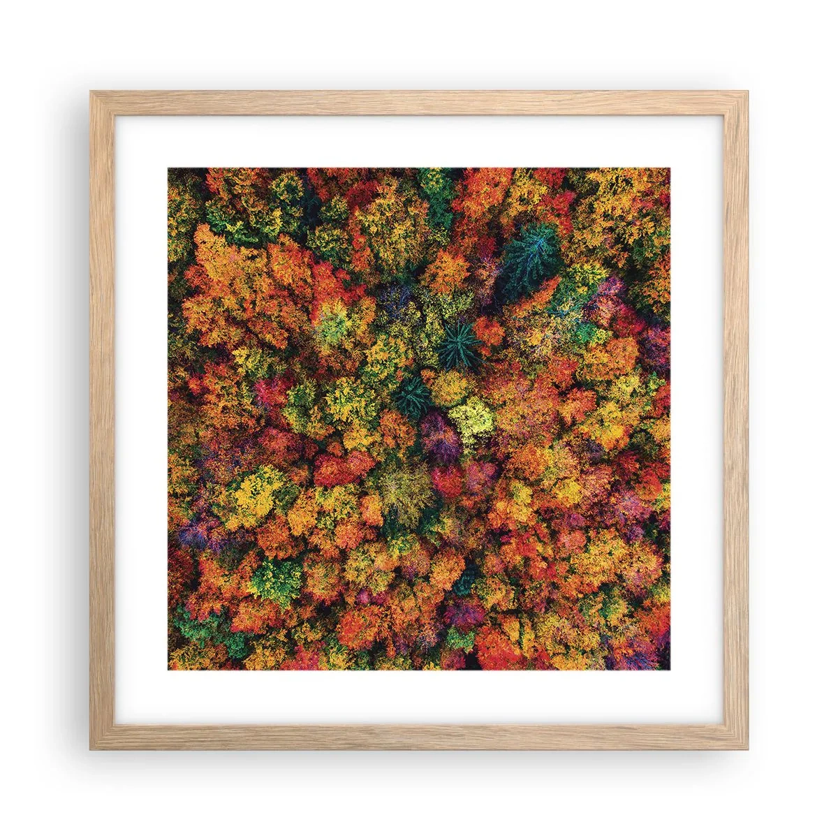 Poster in einem Rahmen aus heller Eiche - Blumenstrauß aus Herbstbäumen - 40x40 cm