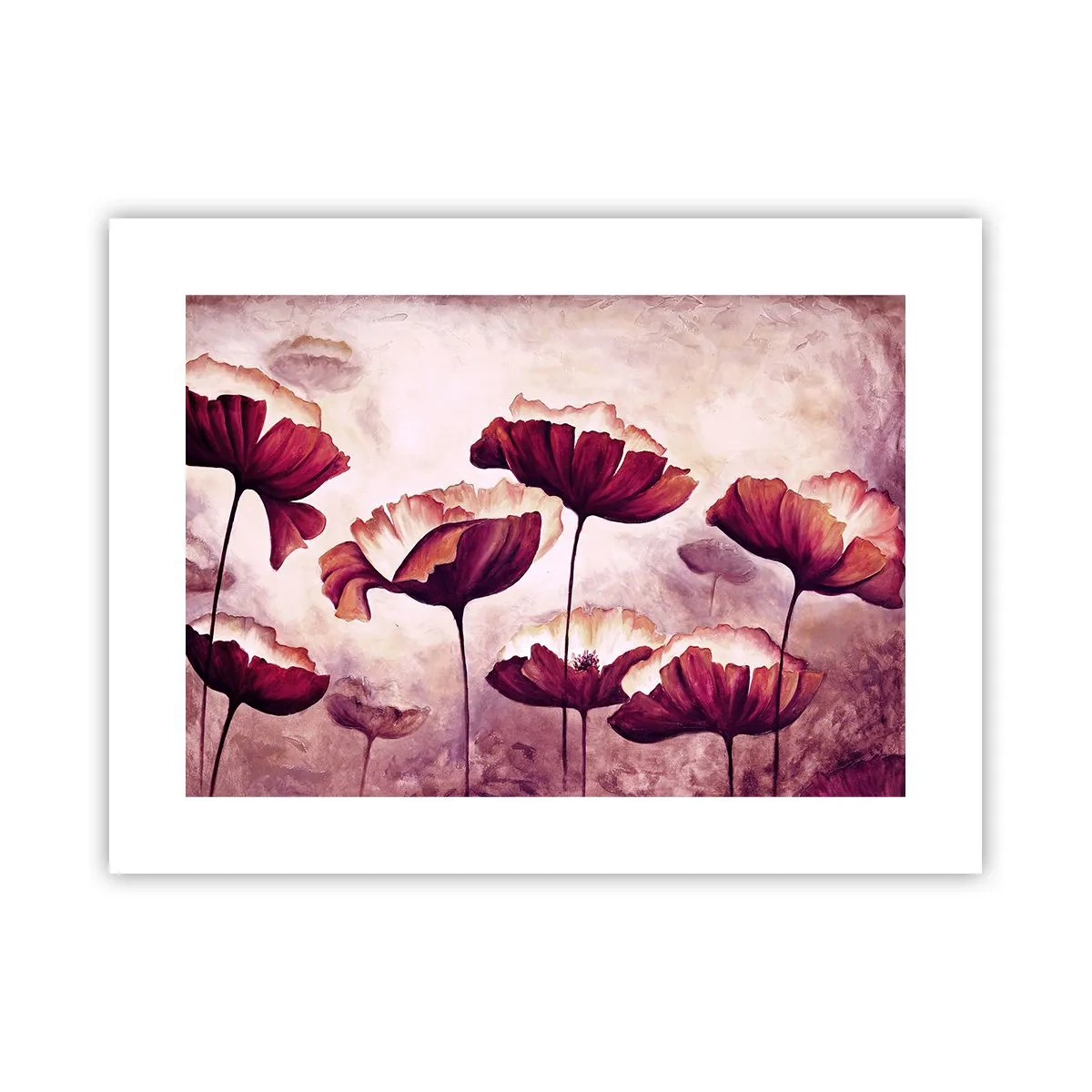 Poster - Rotes und weißes Blütenblatt - 40x30 cm