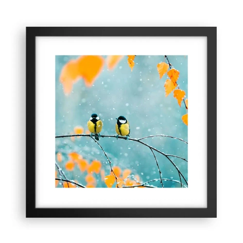 Poster in einem schwarzem Rahmen - Vogelklatsch - 30x30 cm