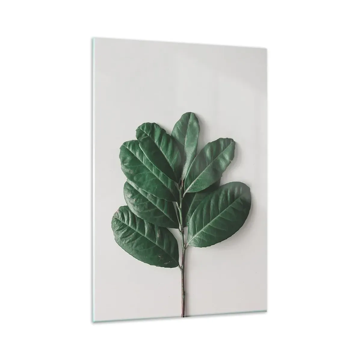 Glasbild - Bild auf glas - Ein Zweig grüner Blätter auf hellem Hintergrund - 80x120cm - Eine Zeichnung purer Natur - Moderne Wanddekoration für Wohnzimmer und Schlafzimmer ARTTOR