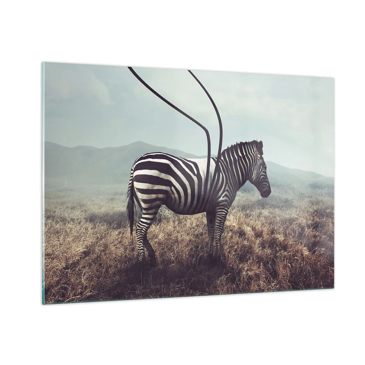Glasbild - Bild auf glas - Zebra auf Grashintergrund mit surrealen Antennendetails - 100x70cm - Achtung! Fehler - Moderne Wanddekoration für Wohnzimmer und Schlafzimmer ARTTOR