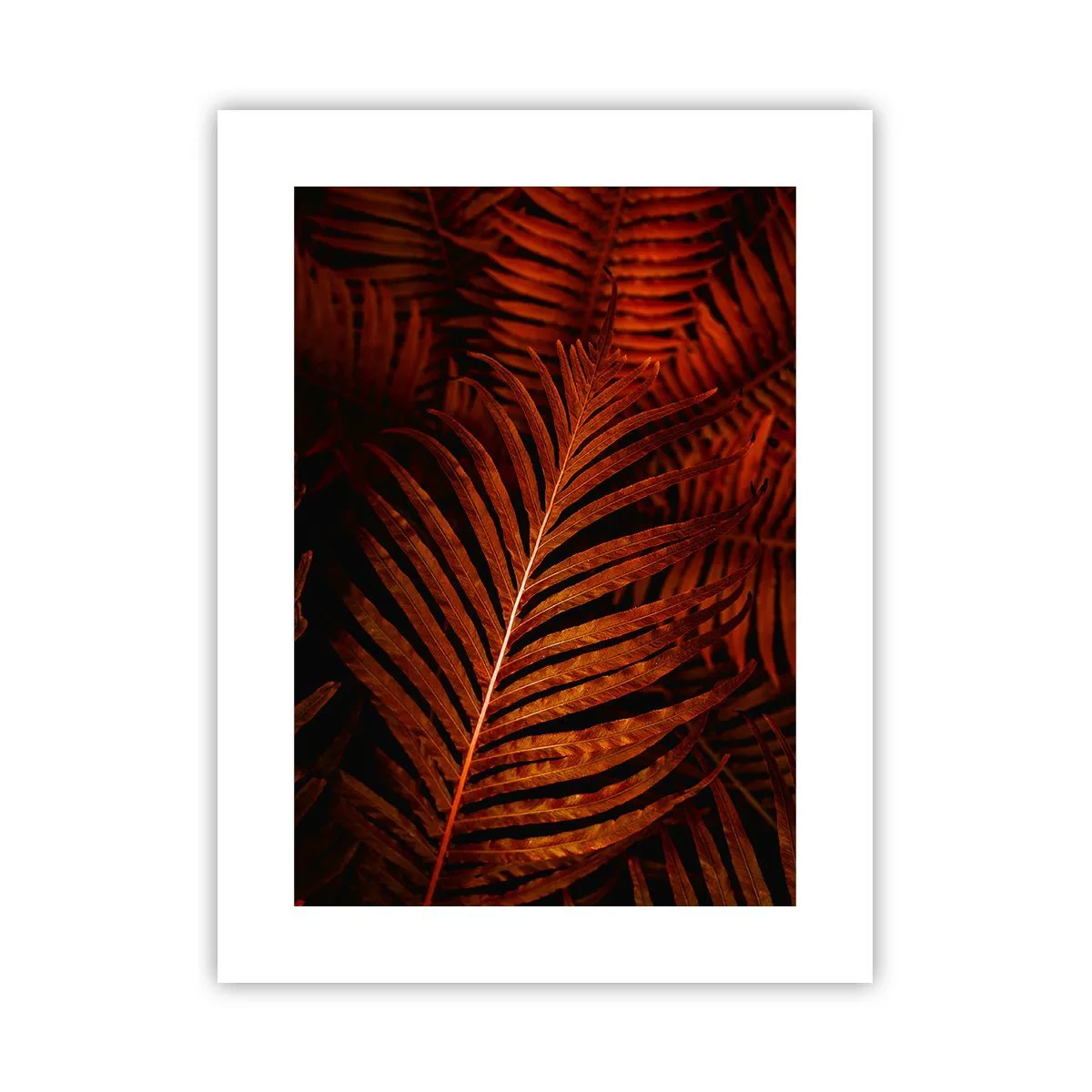 Poster - Die Hitze des Lebens - 30x40 cm