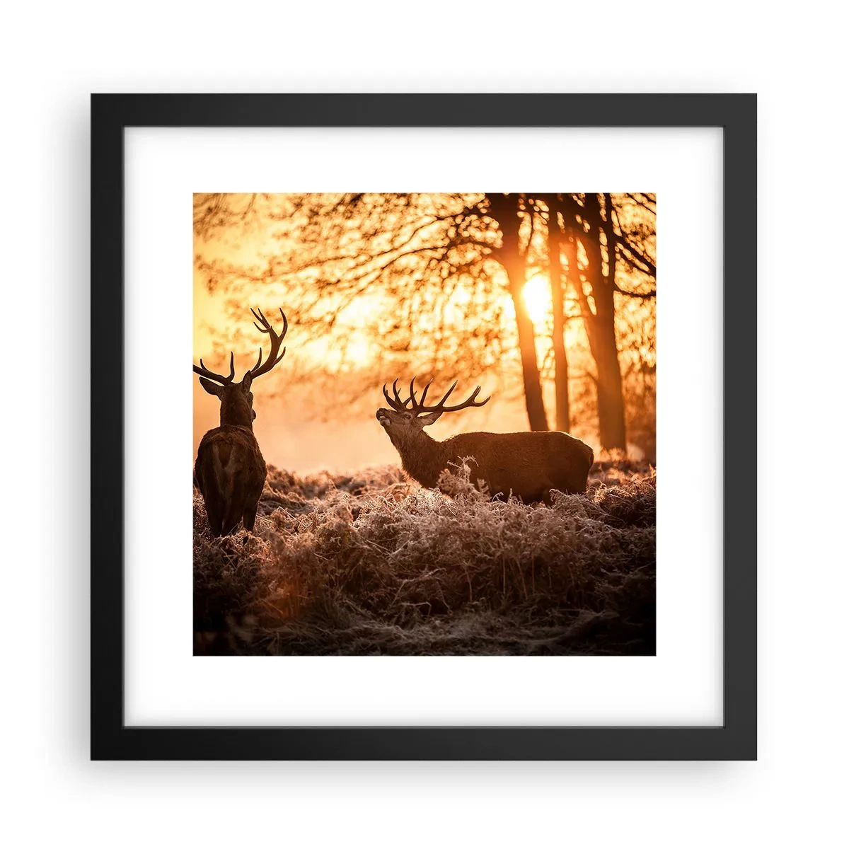 Poster in einem schwarzem Rahmen - Der Traum eines Jägers - 30x30 cm