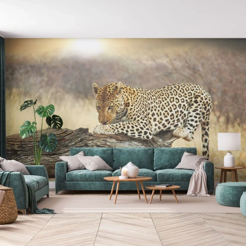 Selbstklebende Fototapete Deluxe Sticker - Ich gehe meine eigenen Wege - Tiere, Leopard, Afrika - 300x210 cm