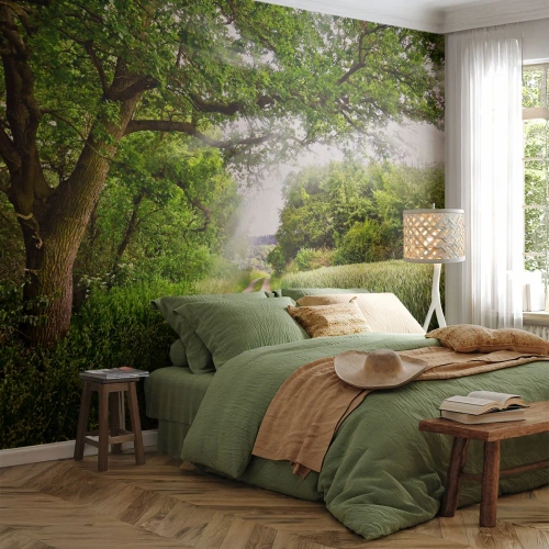 Maßgeschneiderte Fototapete Premium Sand - Et in Arcadia ego - Landschaft, Schotterstraße, Natur