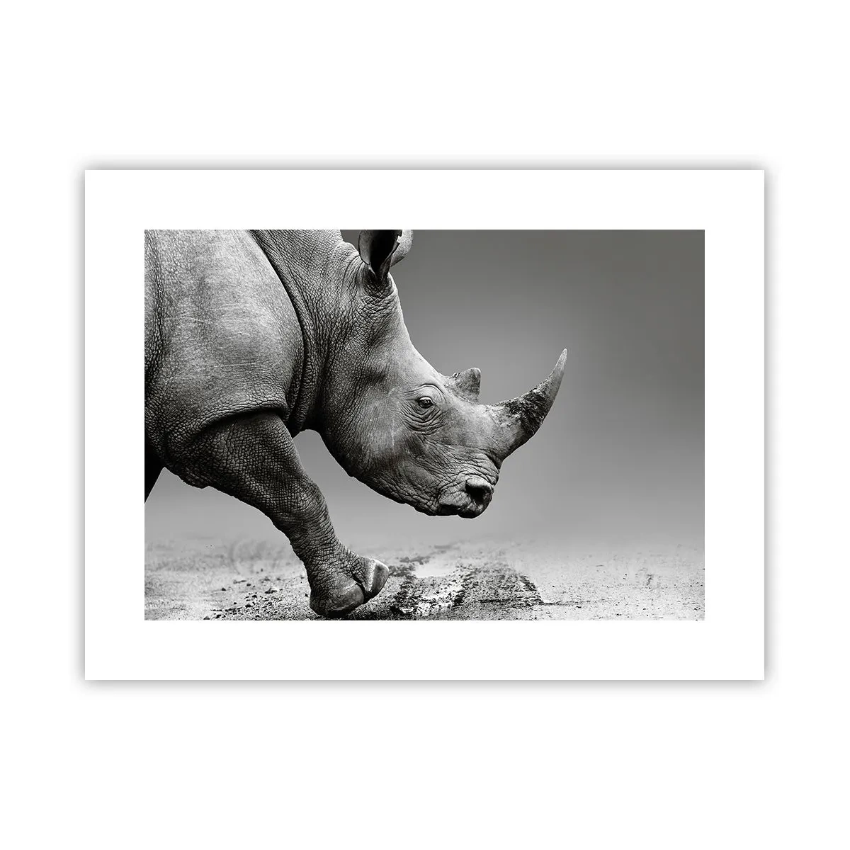 Poster - Unaufhaltsame Stärke - 40x30 cm