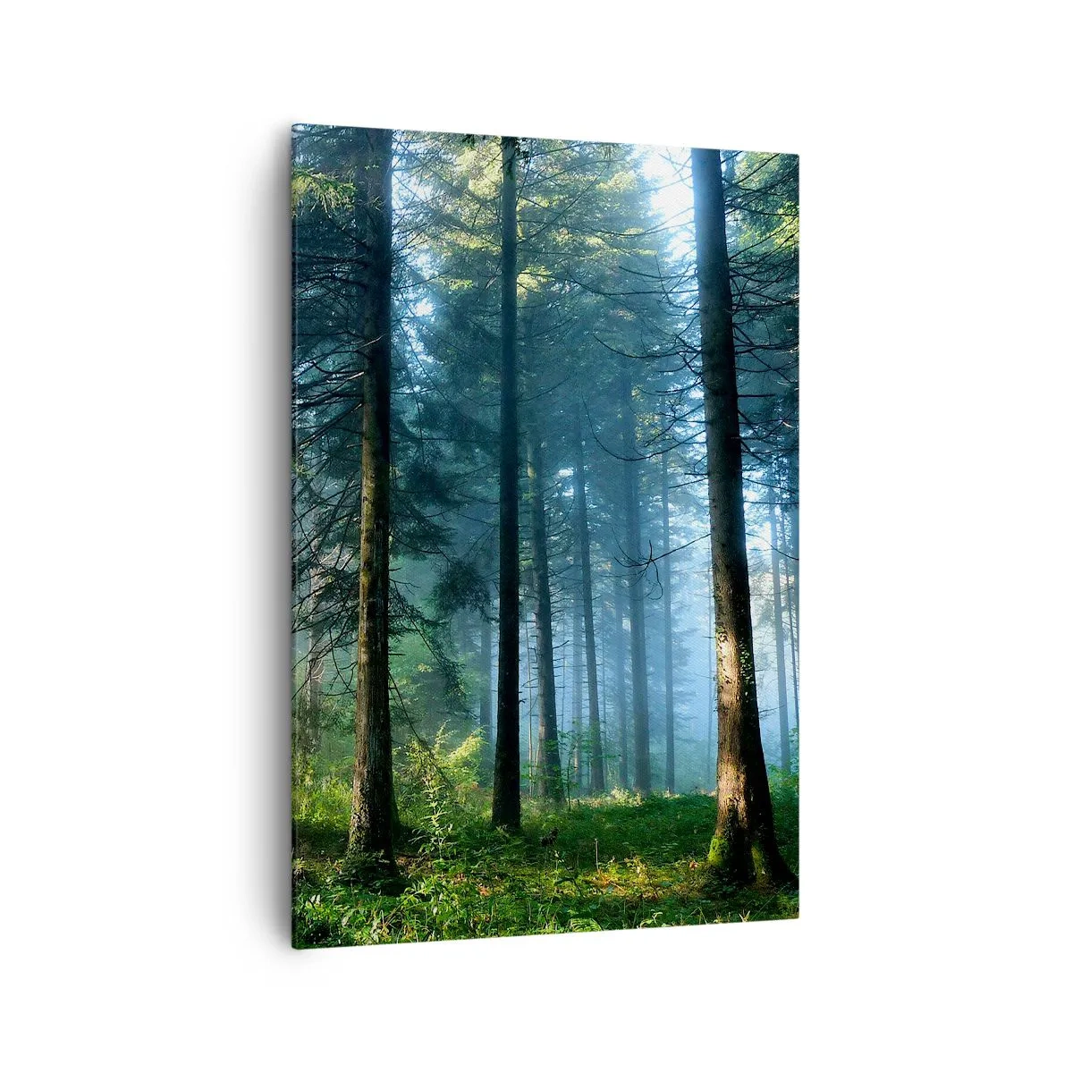 Bild auf Leinwand - Leinwandbild - Ein Waldweg, beleuchtet von den Strahlen der Morgensonne - 70x100cm - Strahlend am Morgen - Moderne Wanddekoration für Wohnzimmer und Schlafzimmer ARTTOR