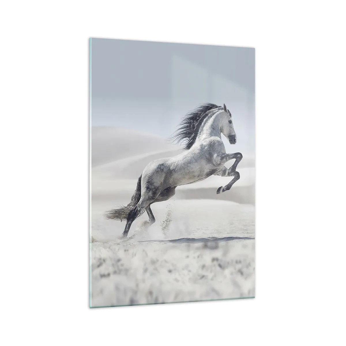 Glasbild - Bild auf glas - Ein weißes Pferd galoppiert vor der Kulisse der Wüstendünen - 70x100cm - Arabischer Prinz - Moderne Wanddekoration für Wohnzimmer und Schlafzimmer ARTTOR