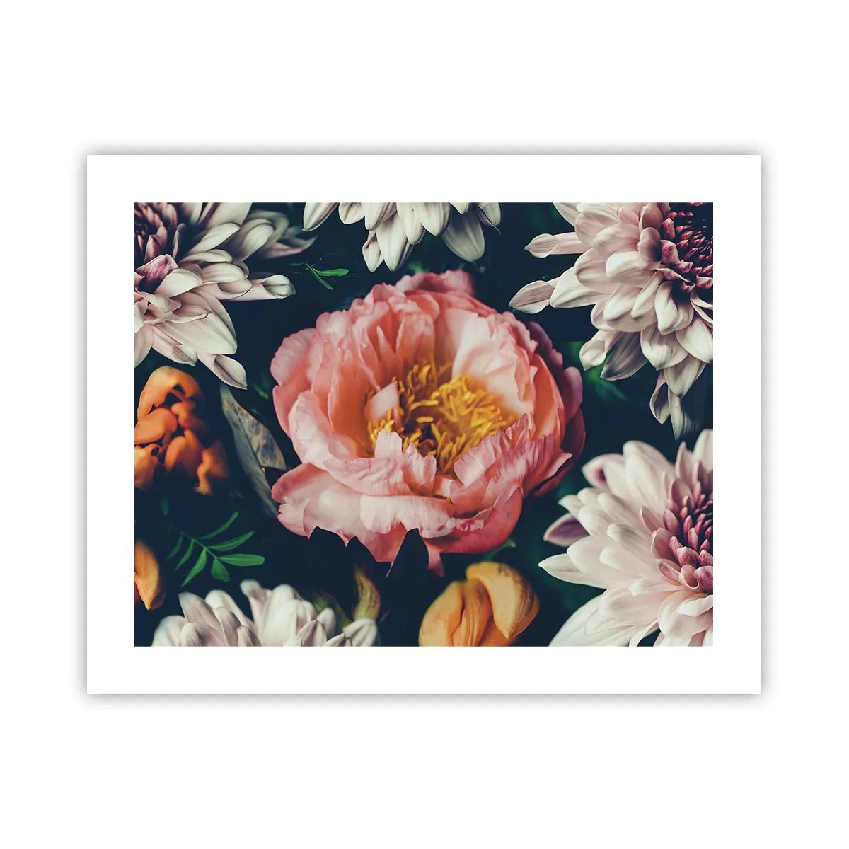 Poster - Mit barocker Pracht - 50x40 cm