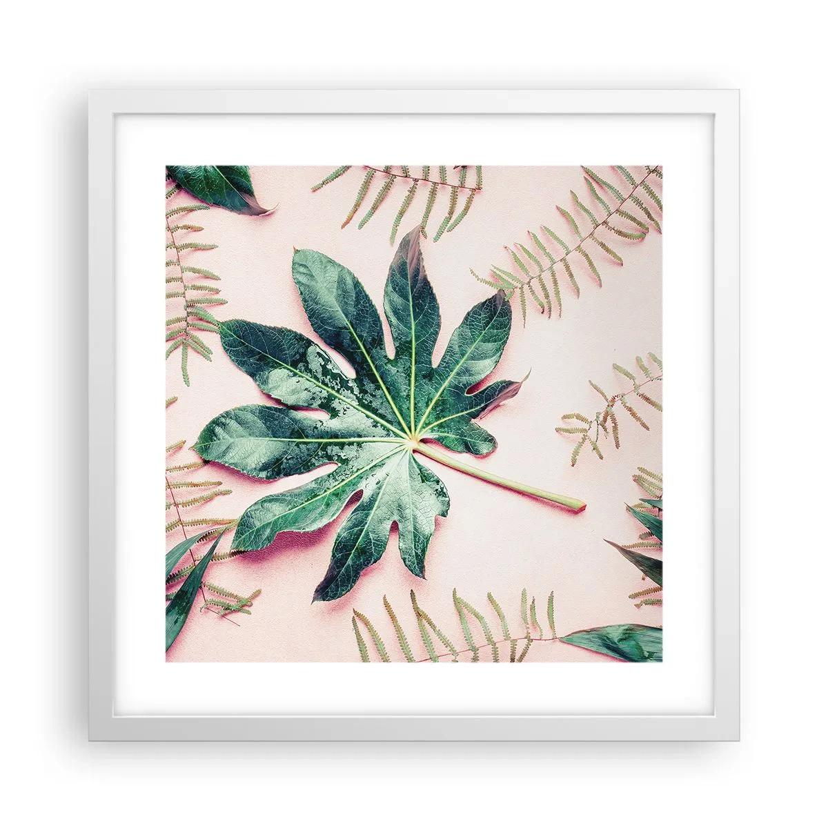 Poster in einem weißen Rahmen - Eine Studie von Grün auf einem rosa Hintergrund - 40x40 cm