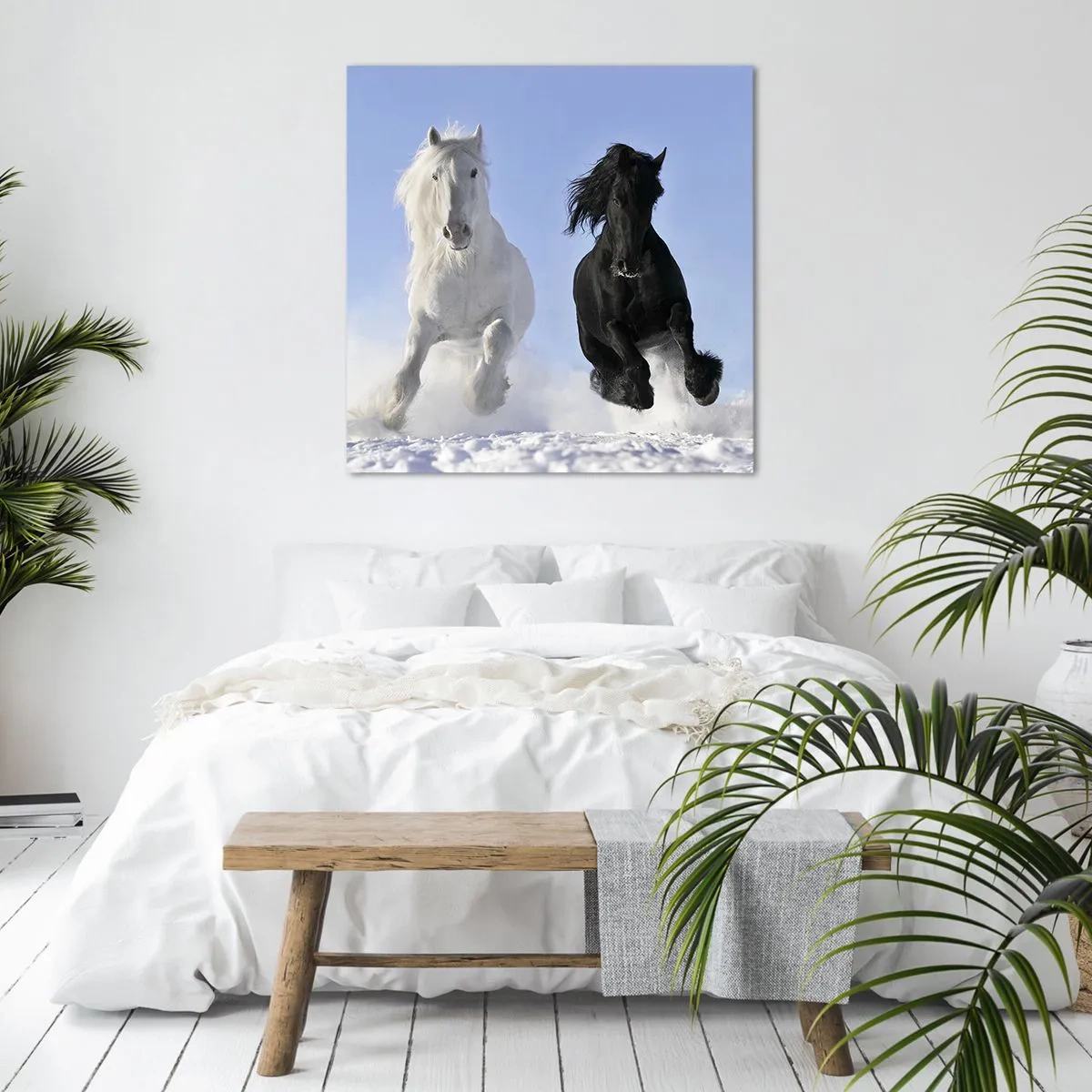 Bild auf Leinwand - Leinwandbild - Schwarz-Weiß-Galopp - 70x70 cm