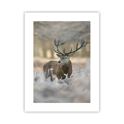 Poster - Ein flotter Morgen - 30x40 cm