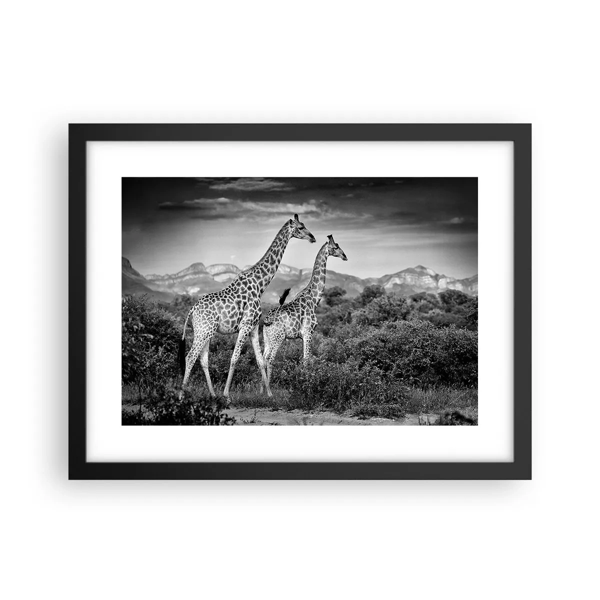 Poster in einem schwarzem Rahmen - Hohe Sphären in Afrika - 40x30 cm