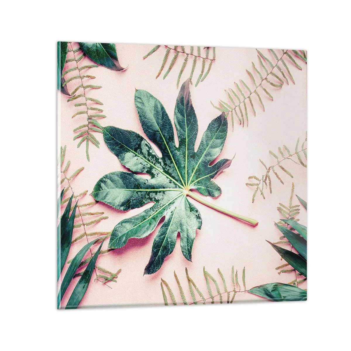 Glasbild - Bild auf glas - Eine Studie von Grün auf einem rosa Hintergrund - 30x30 cm