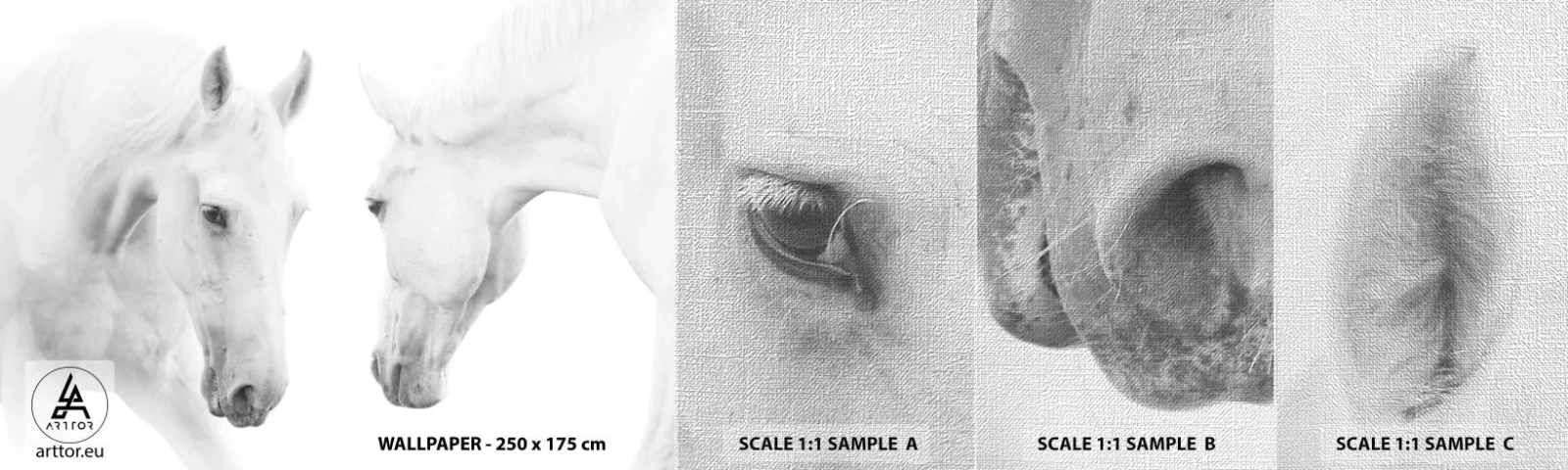 Fototapeten Muster Premium Canvas - Ist das Freundschaft...? - Pferde, Natur, Tiere - 100x30 cm