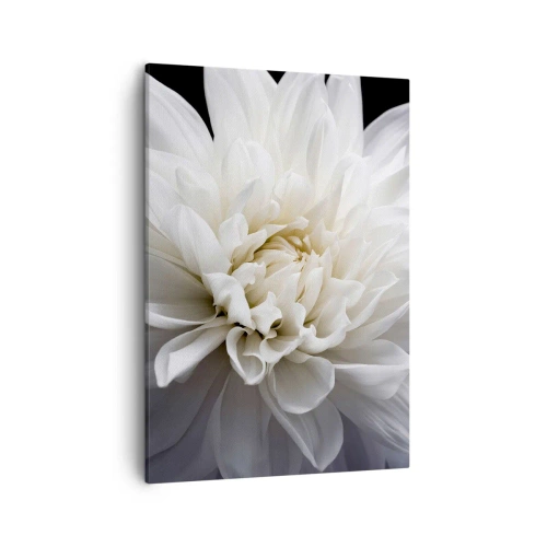 Bild auf Leinwand - Leinwandbild - Eine zarte weiße Blume auf schwarzem Hintergrund in einer eleganten Komposition - 50x70cm - Der Morgen der Braut - Moderne Wanddekoration für Wohnzimmer und Schlafzimmer ARTTOR