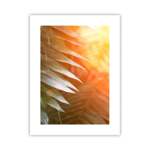 Poster - Morgen im Dschungel - 30x40 cm
