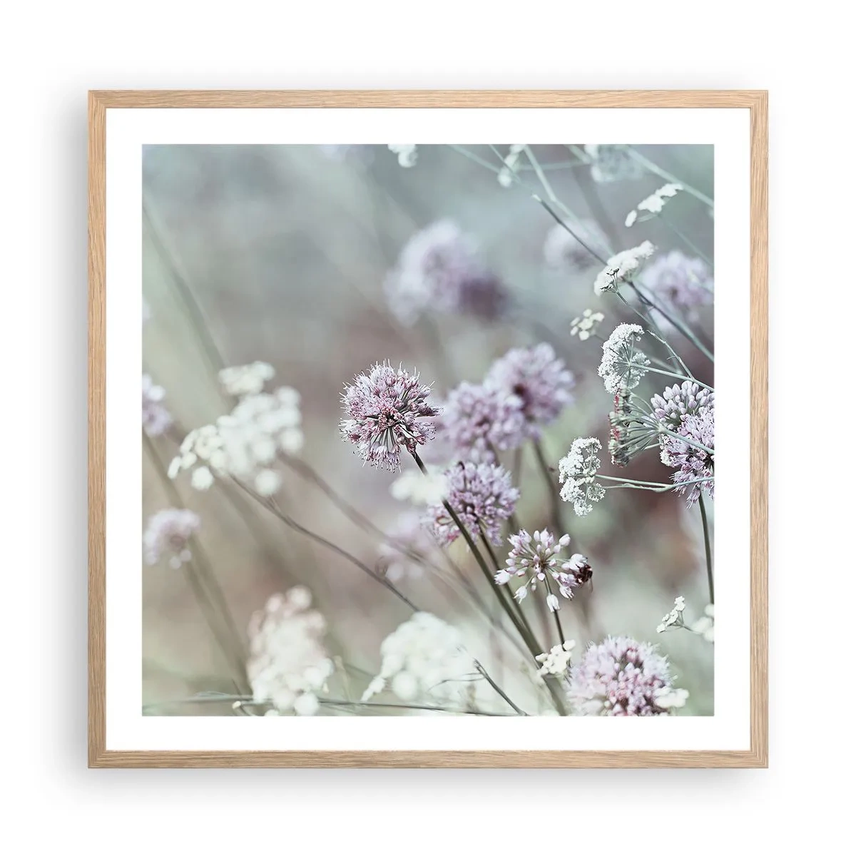 Poster in einem Rahmen aus heller Eiche - Süße filigrane Kräuter - 60x60 cm