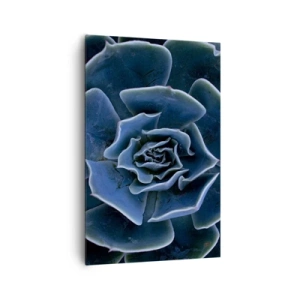Bild auf Leinwand - Leinwandbild - Nahaufnahme einer grünen Sukkulentenrosette - 80x120cm - Wüstenblume - Moderne Wanddekoration für Wohnzimmer und Schlafzimmer ARTTOR