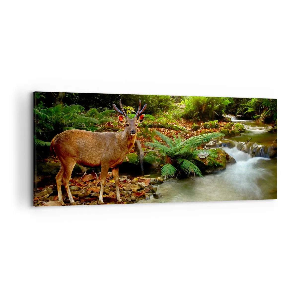 Bild auf Leinwand - Leinwandbild - Willkommen in meiner Welt - 100x40 cm