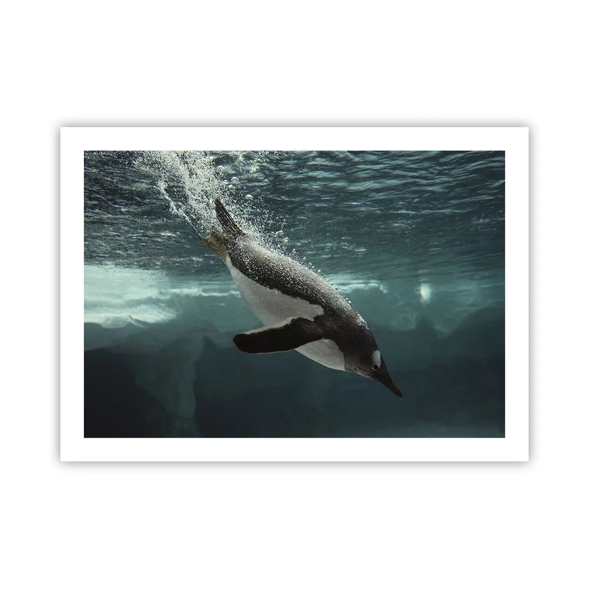 Poster - Willkommen in meiner Welt - 70x50 cm