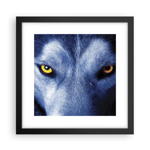 Poster in einem schwarzem Rahmen - Faszinierender Blick - 30x30 cm