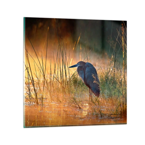 Glasbild - Bild auf glas - Komm, gib mir eine Pause mit diesen Fotos - 50x50 cm