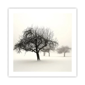 Poster - Winterschlaf - 50x50 cm